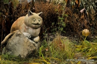 Stone Cat